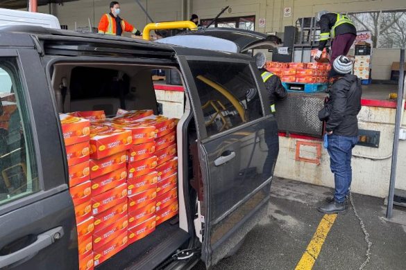 Fresh Mandarin Orange Donation